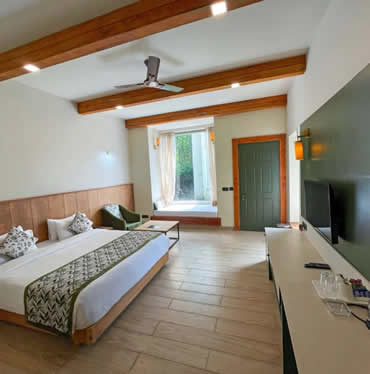 Martin Suite